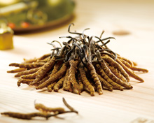 Cordyceps Just Got More Affordable & Sustainable!